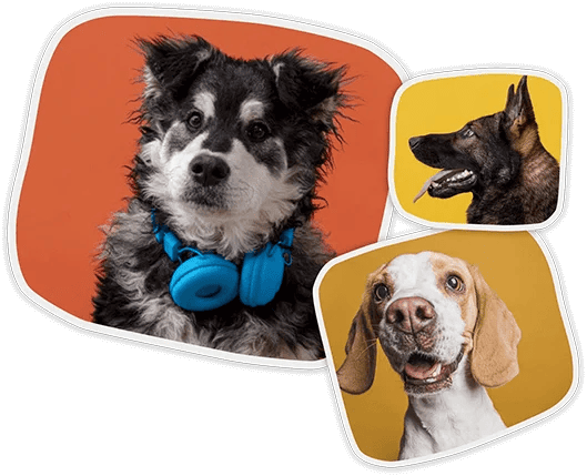 ĐỖ NHẬT CƯỜNG